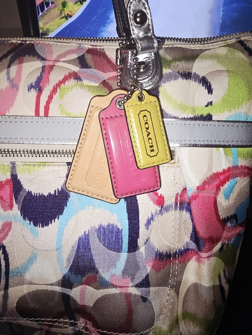 Coach Poppy Ikat Signature C Glam Tote (Style No. 19877) - Picture 2 of 9